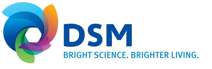 DSM India
